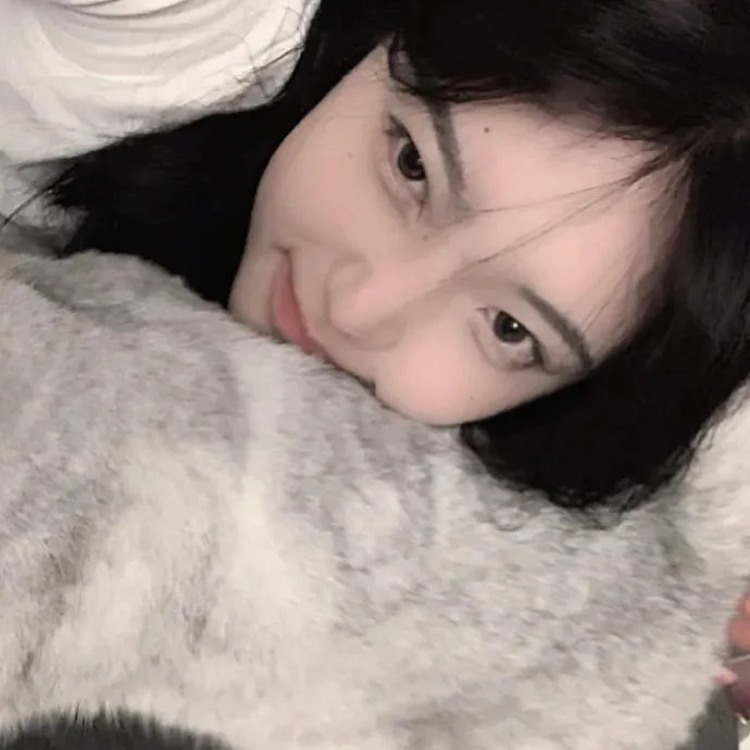 猫物件 电影版