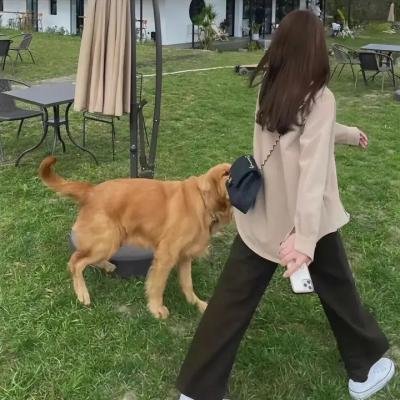 我们的星球：镜头背后